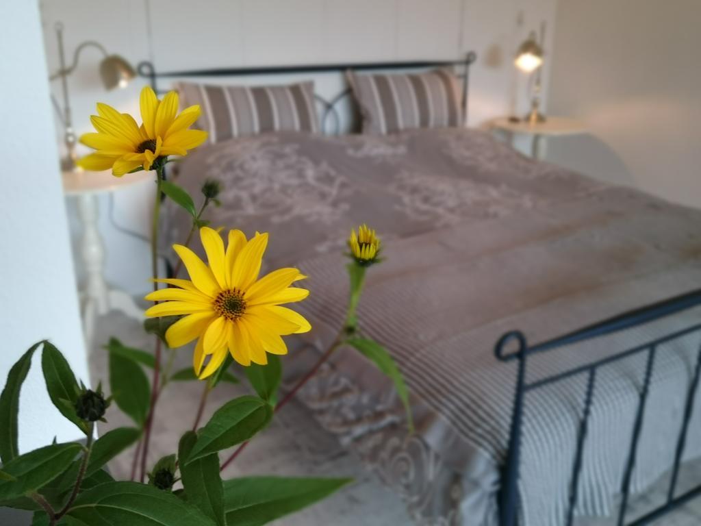 Bed and Breakfast De Rolders Wapenveld Exterior foto