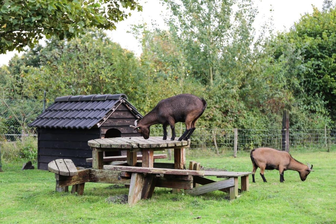 Bed and Breakfast De Rolders Wapenveld Exterior foto